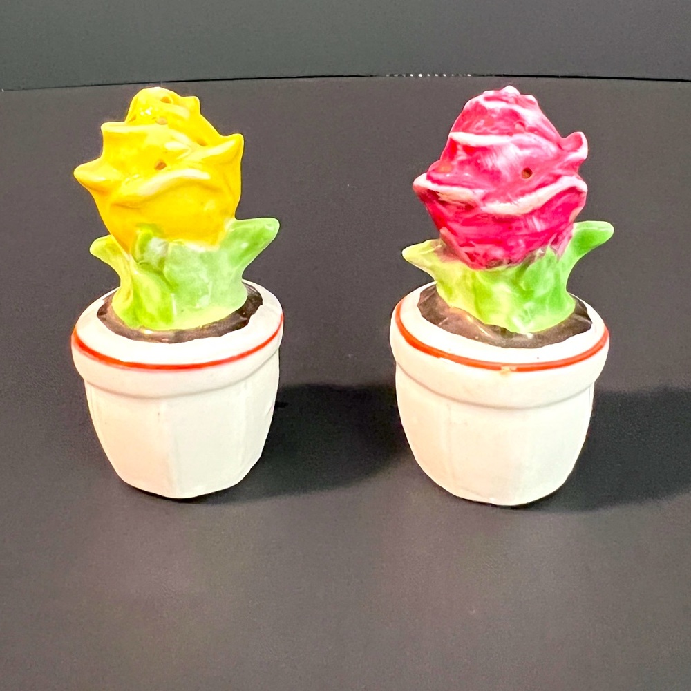 Vintage Rose Flower Pot Salt and pepper Shakers Made in Germany